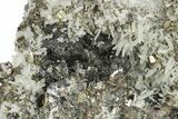 Lustrous Pyrite and Sphalerite Crystals on Quartz - Peru #257278-2